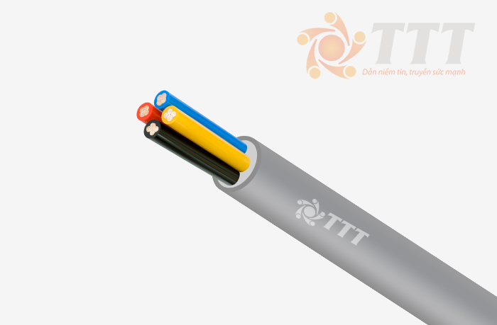 dây điện mềm VVCm TTT Cable