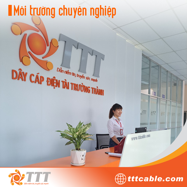 Tài Trường Thành - Môi trường làm việc chuyên nghiệp