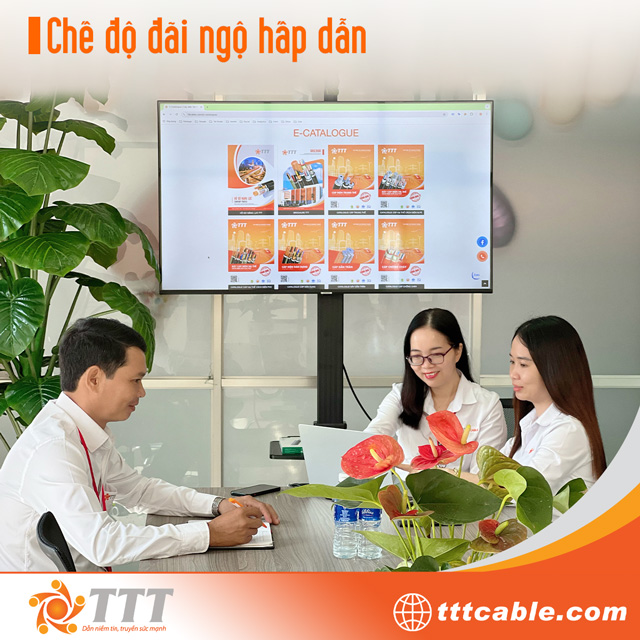 Tài Trường Thành - Chế độ đãi ngộ hấp dẫn