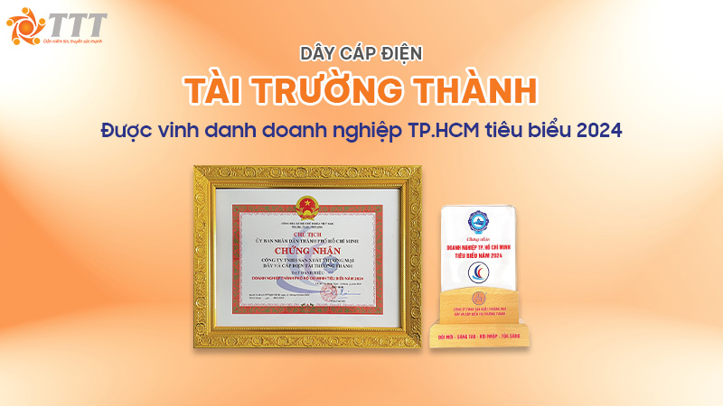 Tài Trường Thành được vinh danh doanh nghiệp doanh nhân tiêu biểu tphcm 2024