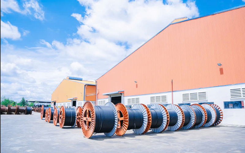 Chuẩn bị hàng giao cho đối tác