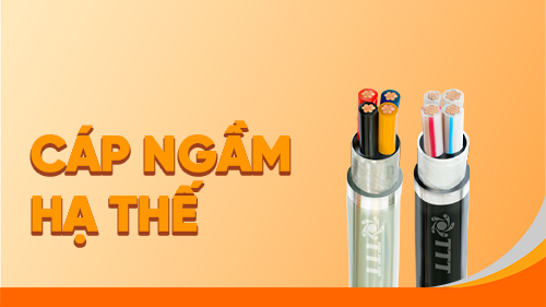 Cap Ngam Ha The Avt 2