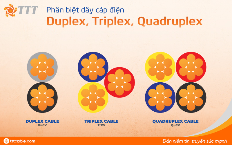phân biệt duplex triplex quadruplex