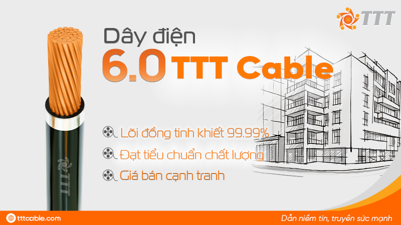 dây điện 6.0 Tài Trường Thành