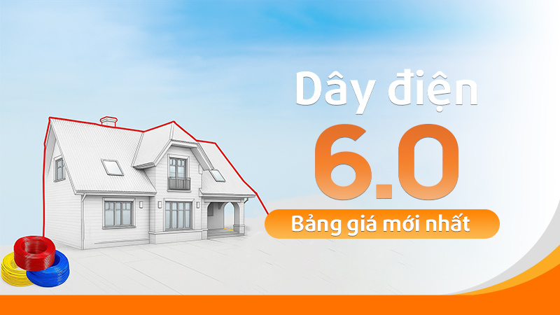 dây 6.0 tài trường thành