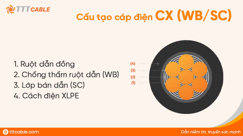 Cấu tạo cáp trung thế CX(WB/SC)