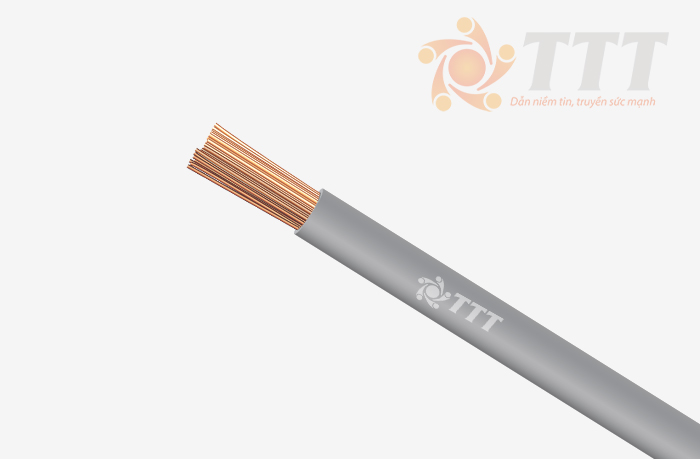 dây đồng mềm VCm TTT Cable